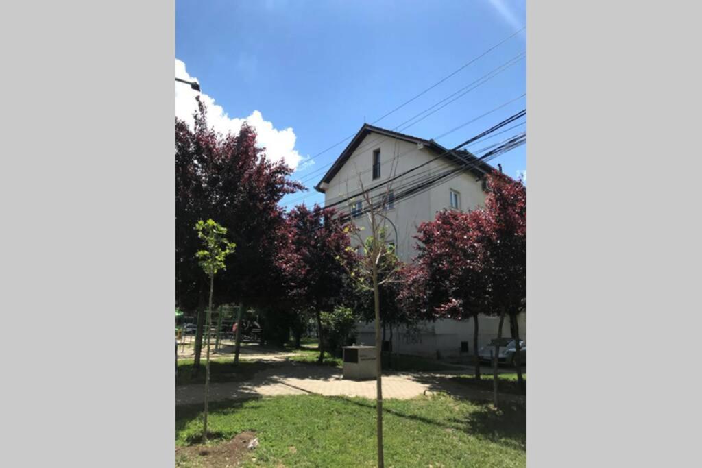 Cozy Apartment In The Old Center Of Prishtina Pristina Esterno foto